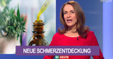 Mueller Kinesiologie