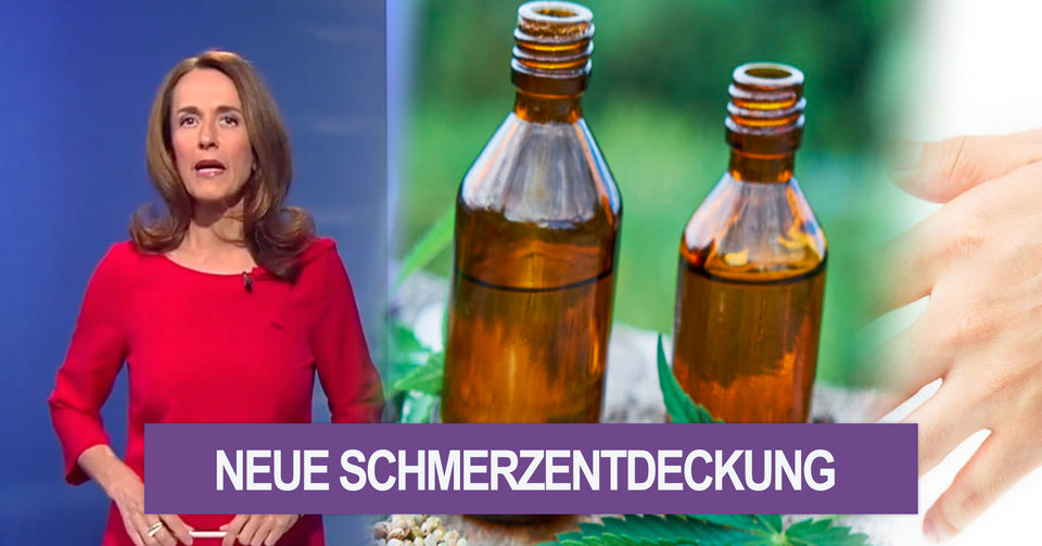 Mueller Kinesiologie